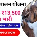 Bihar Bakri Palan Yojana 2024 : Bihar Goat Farming 2024 के अंतर्गत मिलेगा ₹700000, आवेदन शुरू