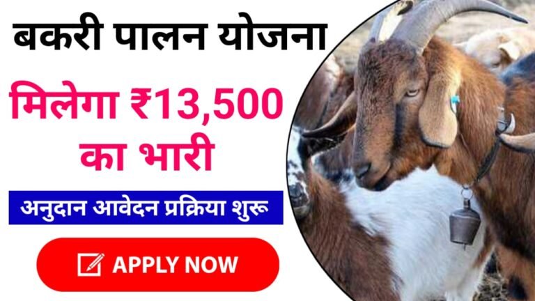 Bihar Bakri Palan Yojana 2024 : Bihar Goat Farming 2024 के अंतर्गत मिलेगा ₹700000, आवेदन शुरू