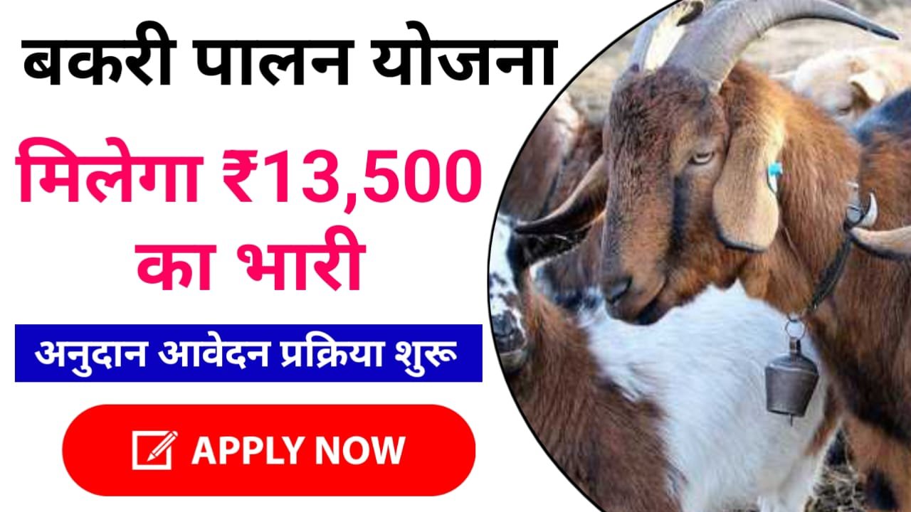 Bihar Bakri Palan Yojana 2024 : Bihar Goat Farming 2024 के अंतर्गत मिलेगा ₹700000, आवेदन शुरू