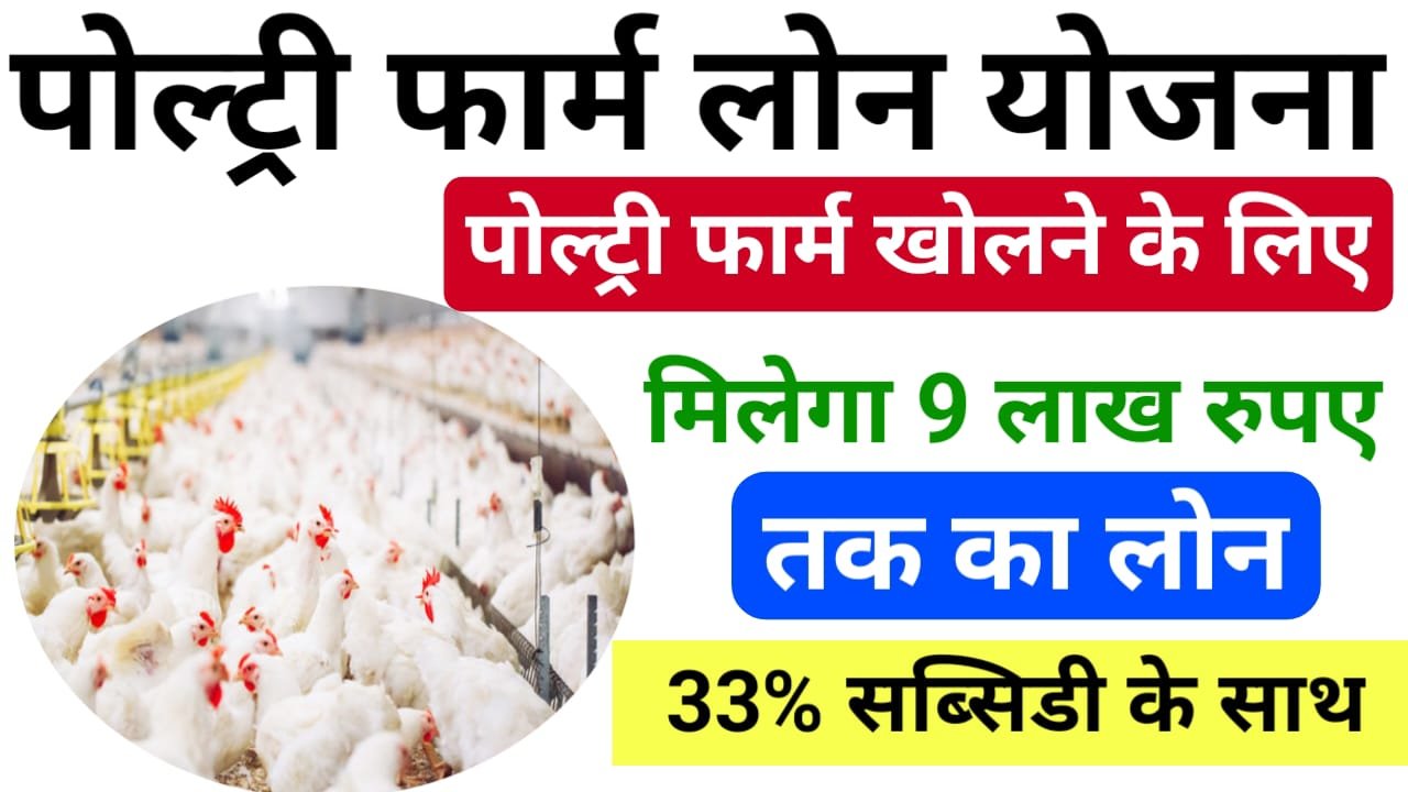 The Poultry Farm Loan Scheme 2024 : मुर्गी पालन के लिए सरकार देगी ₹9 लाख तक का लोन 33% सब्सिडी के साथ, ऐसे करें आवेदन